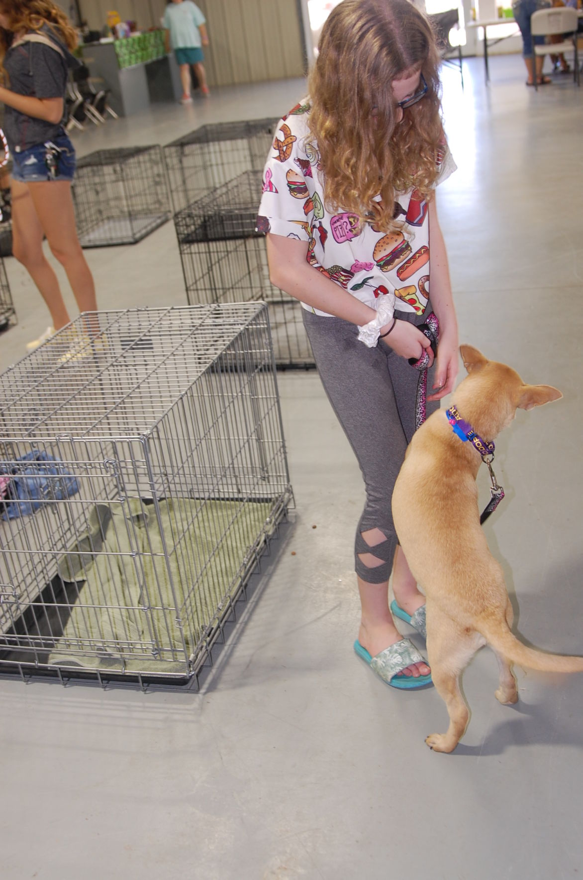 Piedmont animal rescue (18).JPG